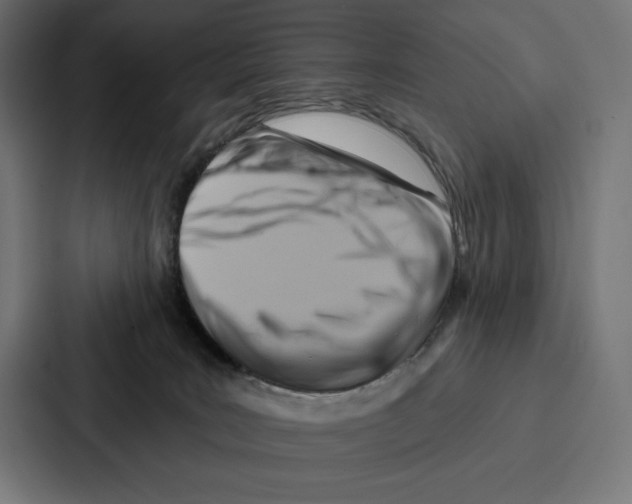 X0000086800035200705111844