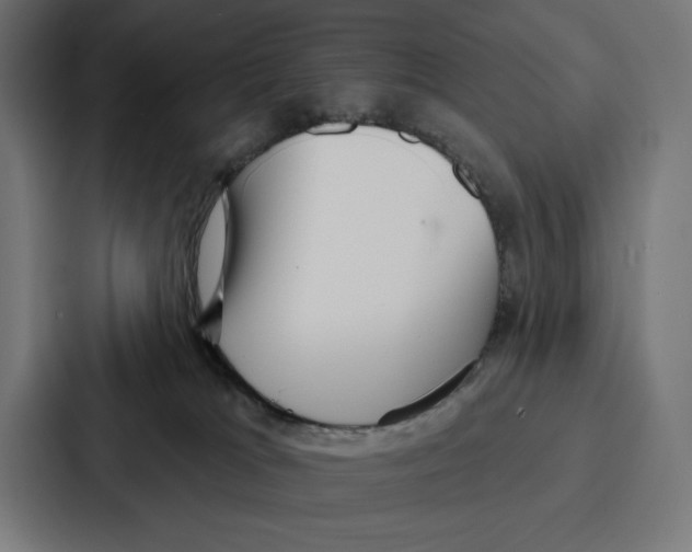 X0000086800037200705111844