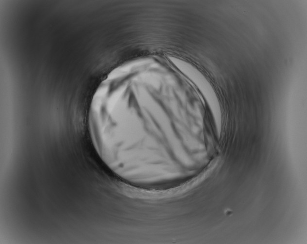 X0000086800039200705111844