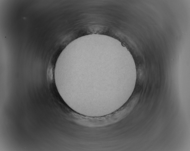X0000086800042200705111844