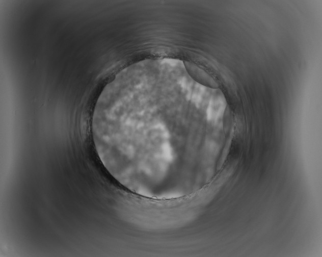 X0000086800043200705111844