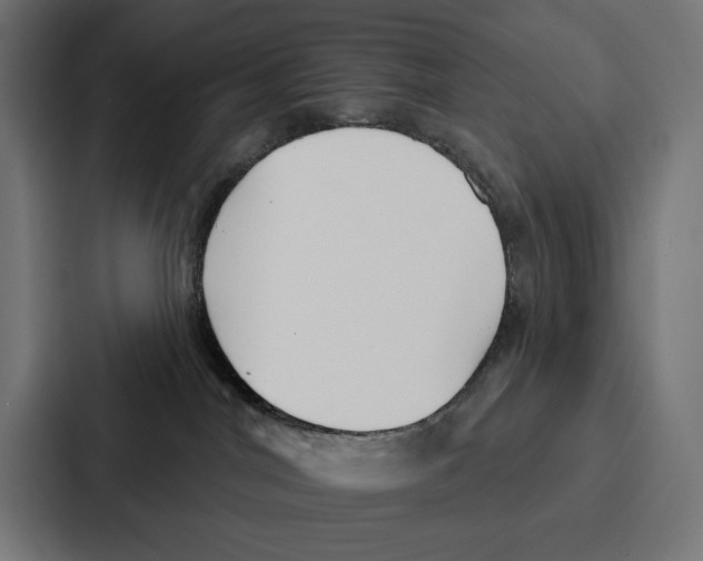X0000086800044200705111844