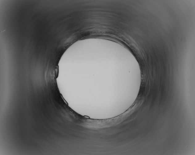 X0000086800045200705111844