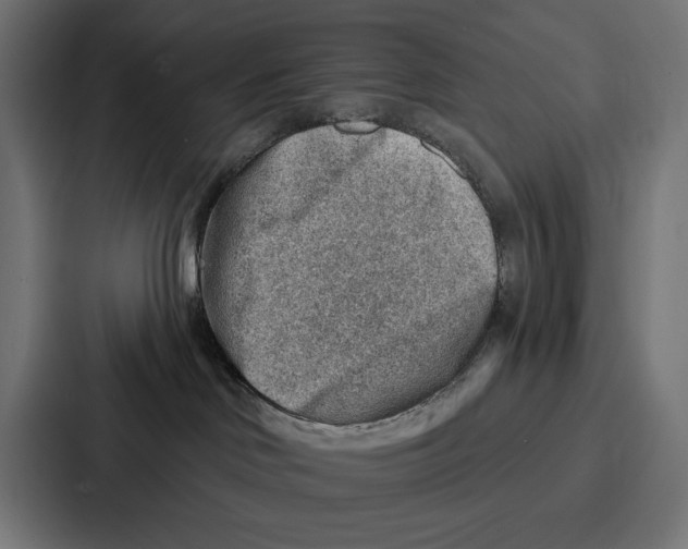 X0000086800046200705111844