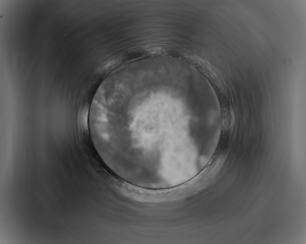 X0000086800047200705111844