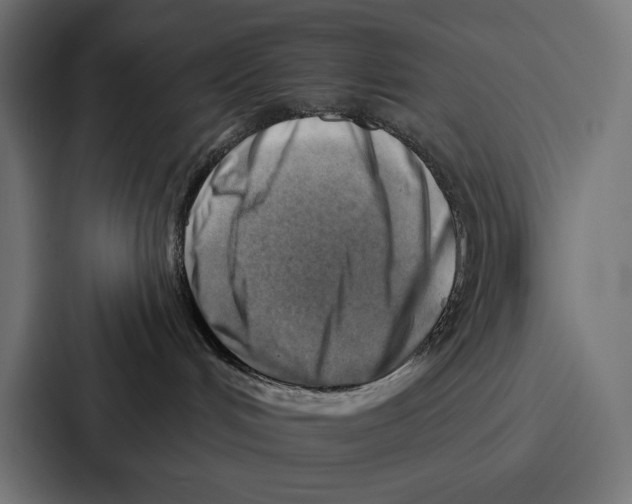 X0000086800048200705111844