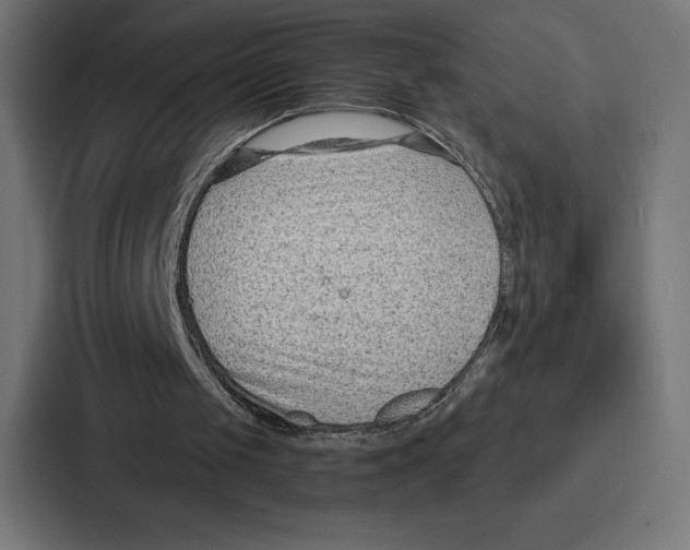 X0000086800049200705111843