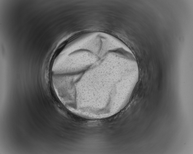 X0000086800050200705111843