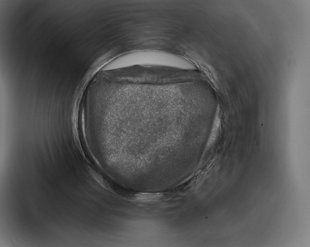 X0000086800051200705111843