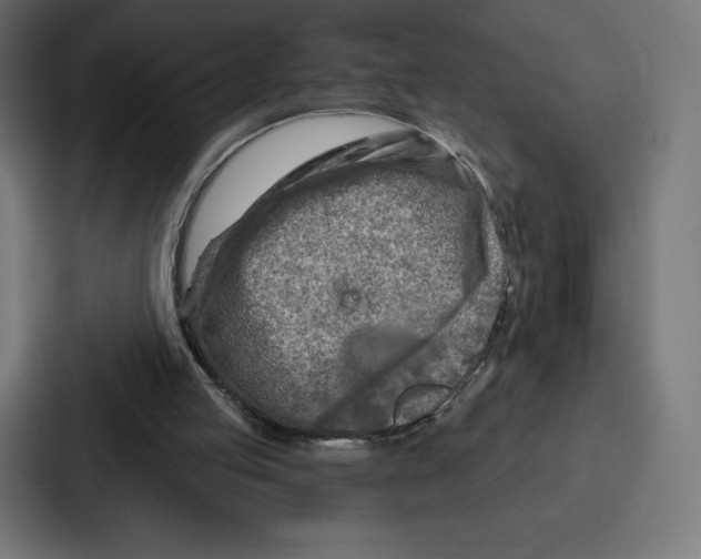 X0000086800053200705111843