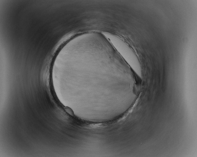 X0000086800054200705111843