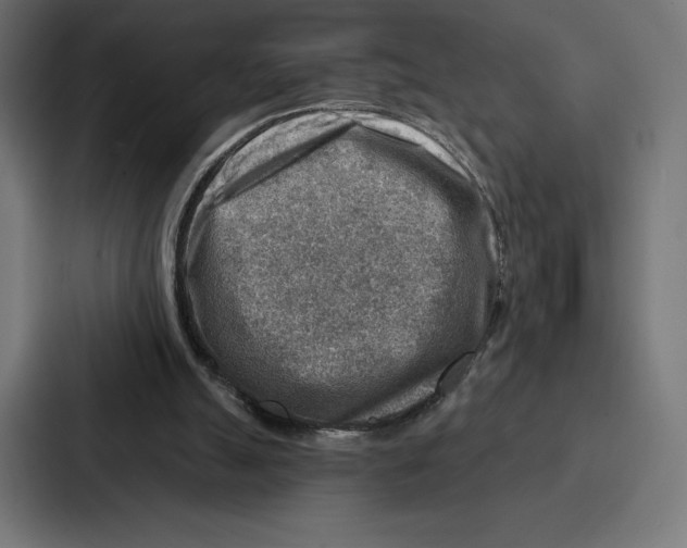 X0000086800055200705111843
