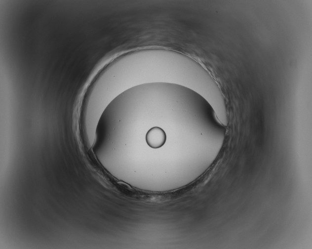 X0000086800056200705111843