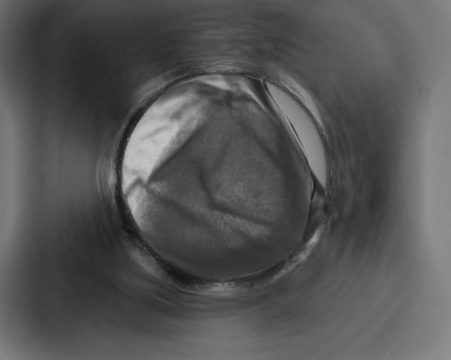 X0000086800059200705111843