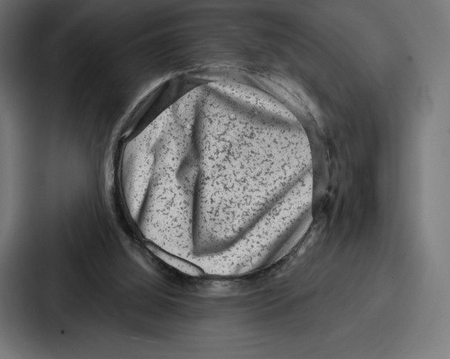 X0000086800060200705111843
