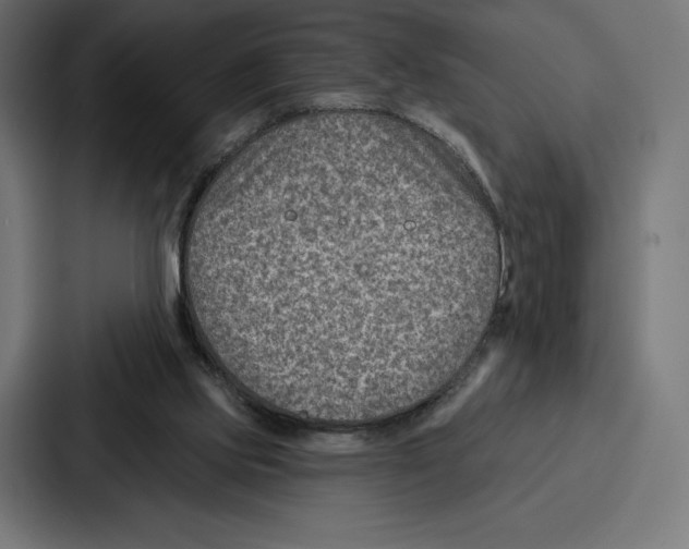 X0000086800061200705111843