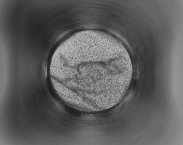 X0000086800062200705111843