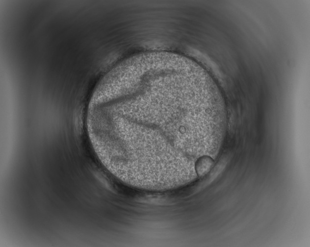 X0000086800065200705111843