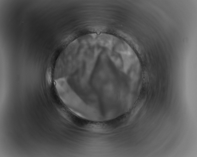 X0000086800069200705111843