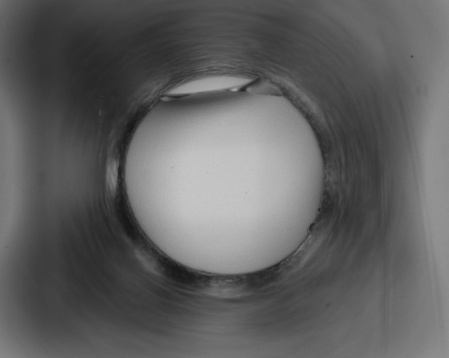 X0000086800070200705111844