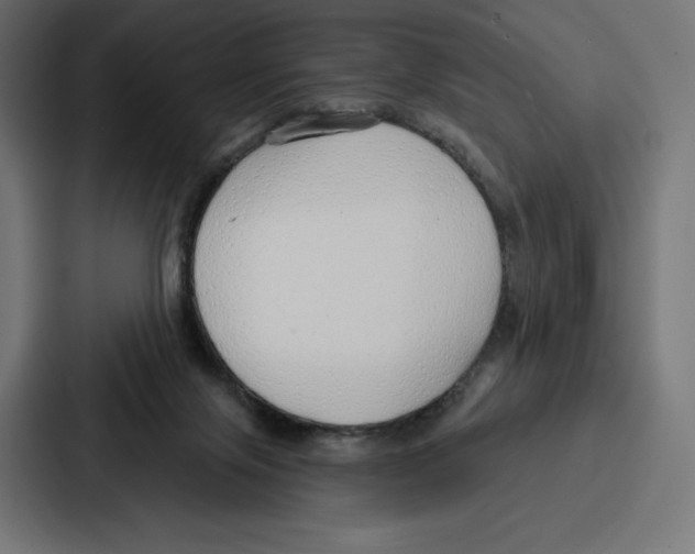 X0000086800071200705111844
