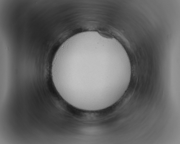 X0000086800073200705111844