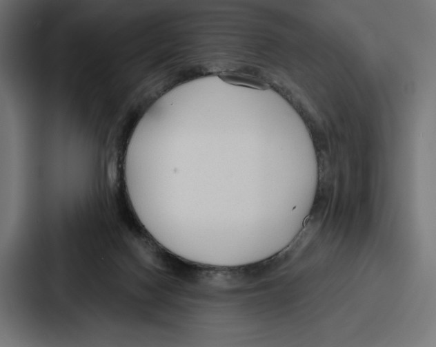 X0000086800074200705111844