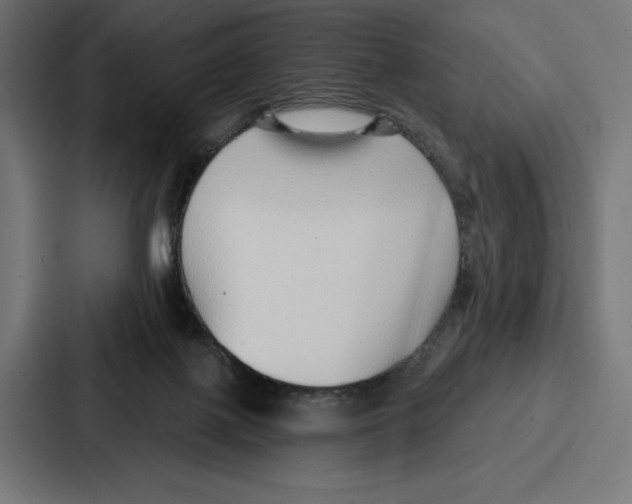 X0000086800075200705111844