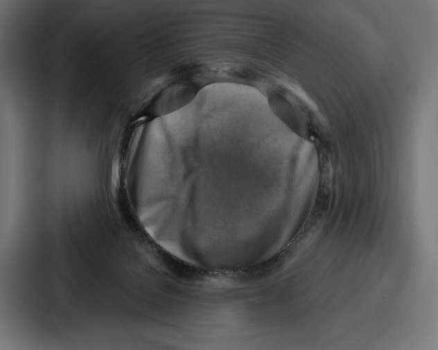 X0000086800076200705111844