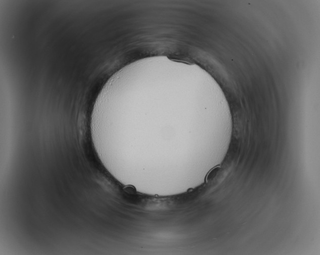 X0000086800077200705111844