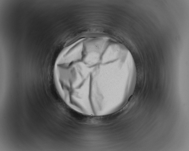 X0000086800078200705111844