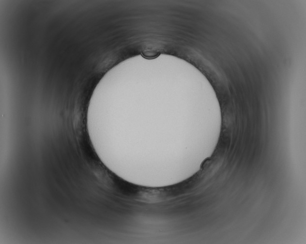 X0000086800079200705111844