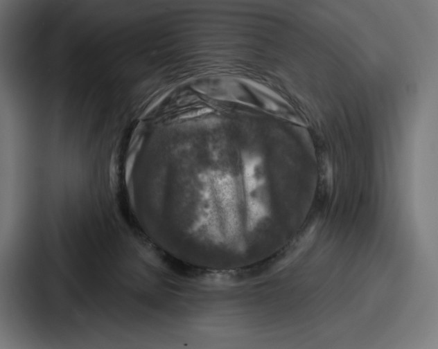 X0000086800080200705111844