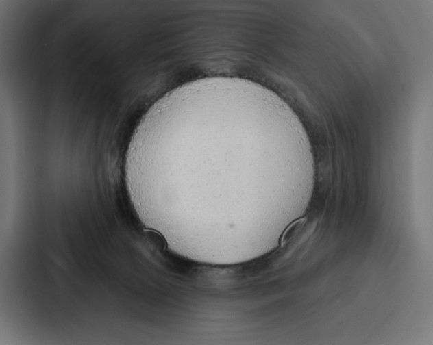 X0000086800081200705111844
