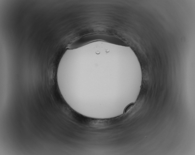 X0000086800082200705111844