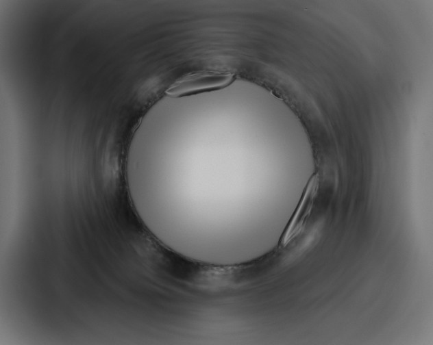 X0000086800084200705111844
