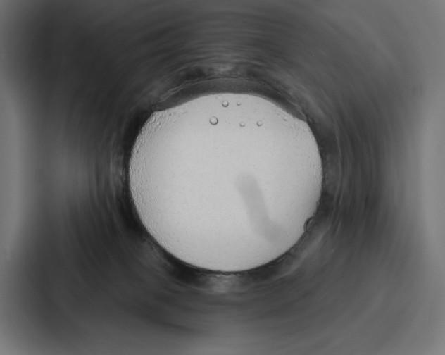 X0000086800085200705111844