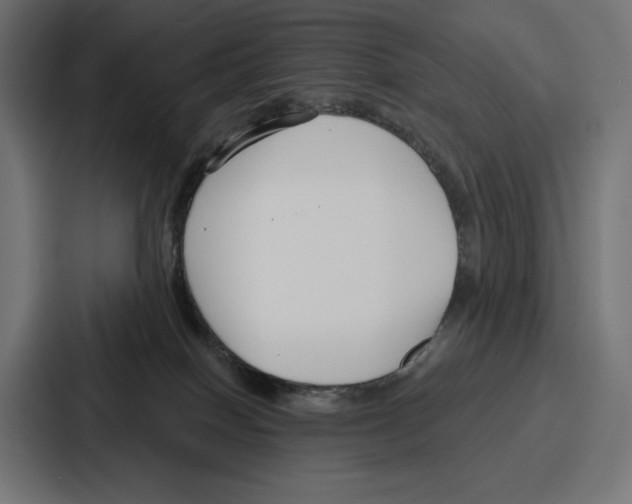 X0000086800086200705111844