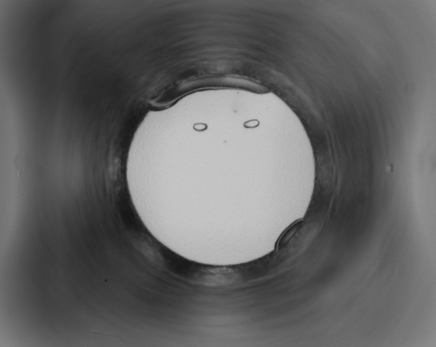 X0000086800087200705111844