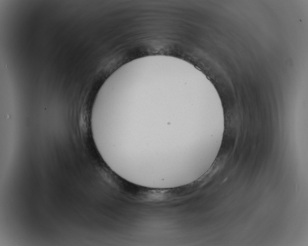 X0000086800090200705111844