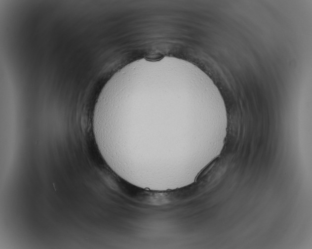X0000086800091200705111844