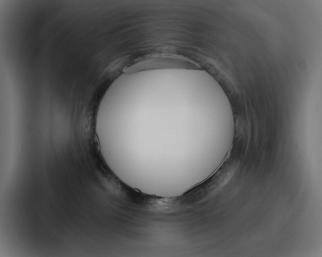 X0000086800092200705111844