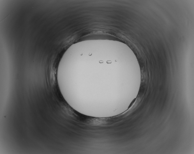 X0000086800094200705111844