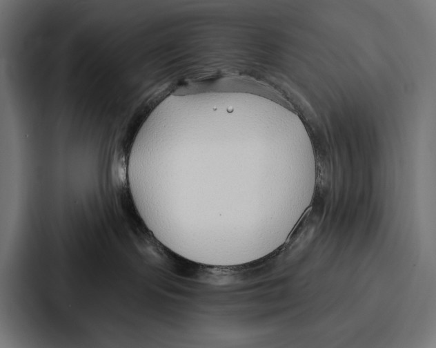X0000086800095200705111844