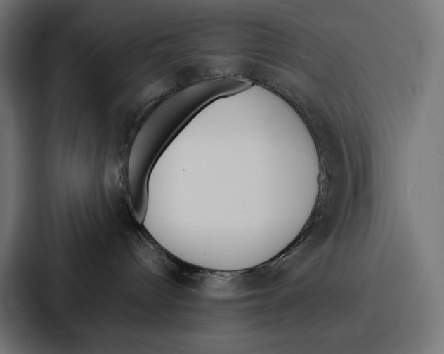 X0000086800096200705111844