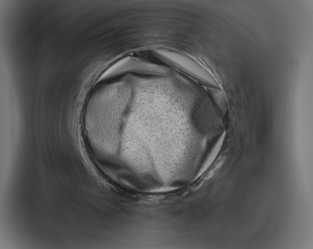X0000086800097200705111843
