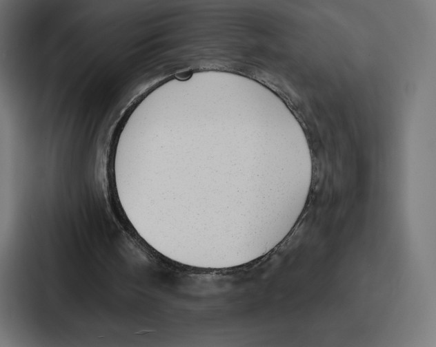 X0000086800098200705111843