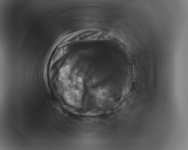 X0000086800099200705111843