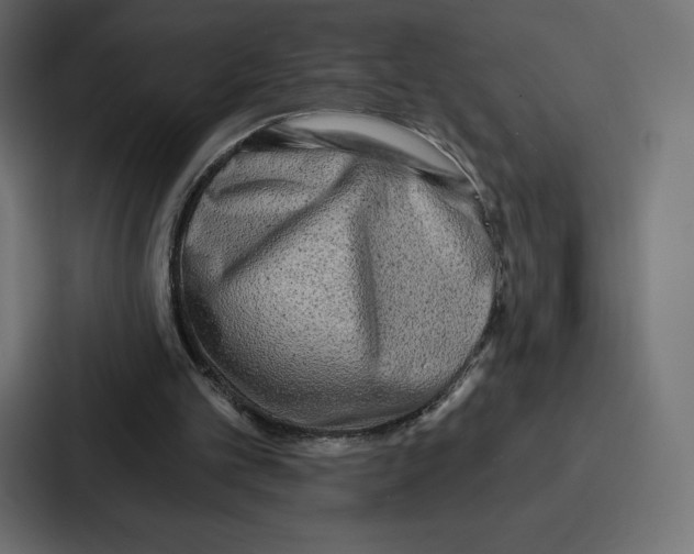 X0000086800101200705111843