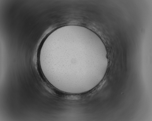 X0000086800102200705111843